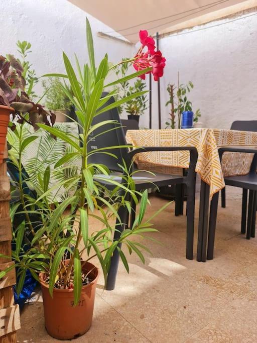Estancia De Ensueno Y Relax Parking Gratuito Granada Esterno foto